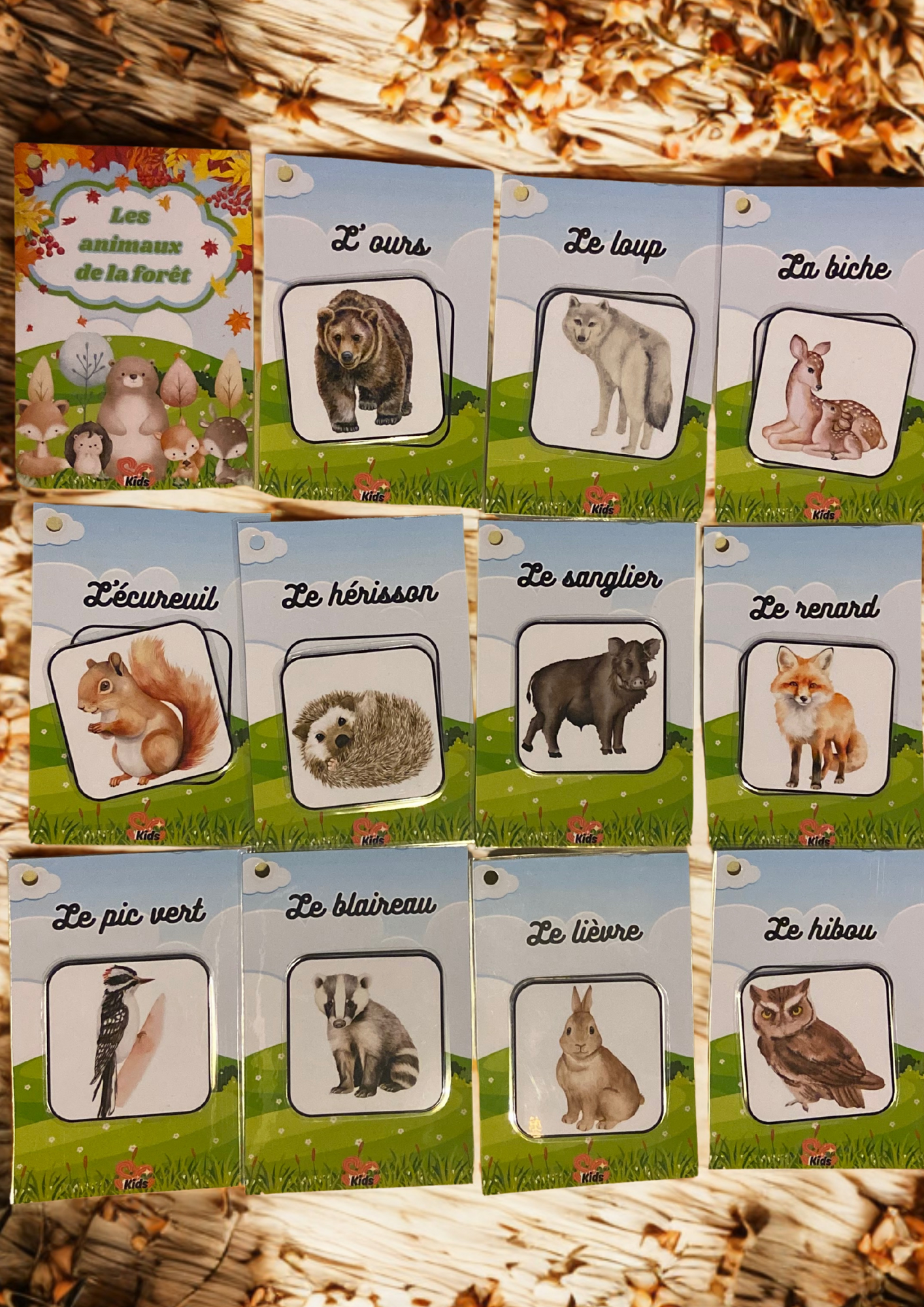đŠ Les animaux de la forĂȘt (Format mini)